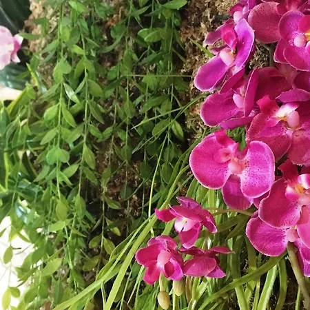 Ile De Re Ξενοδοχείο