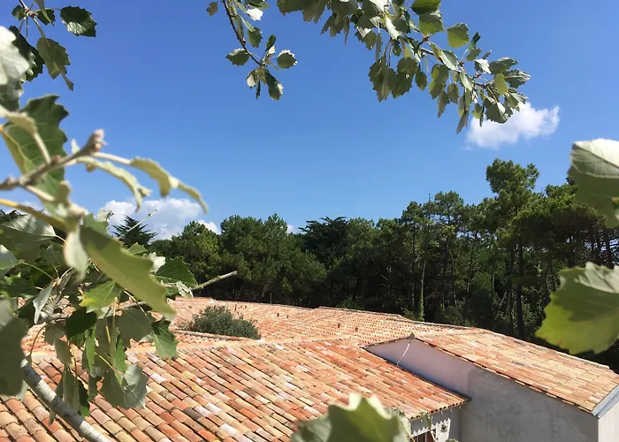 Ile De Re Le Bois-Plage-en-Re