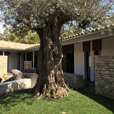 Hotel Ile De Re Le Bois-Plage-en-Ré